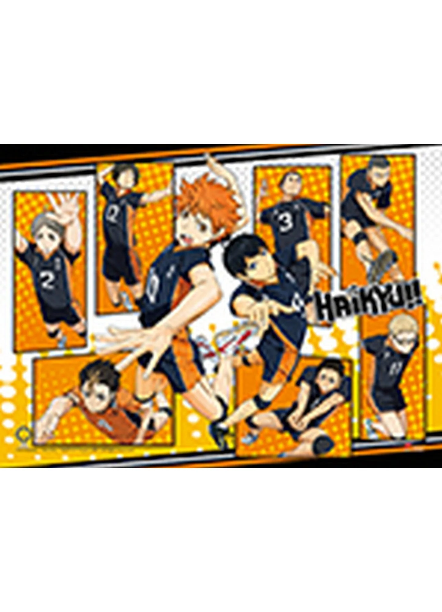 Haikyu!! - Group 2 Hi-End Wall Scroll