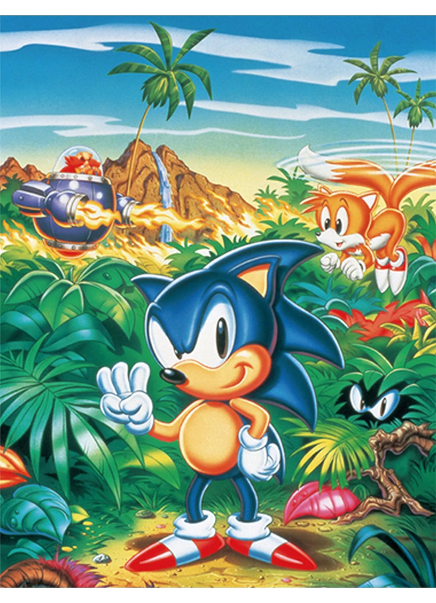 Sonic Hedgehog - Sublimation Throw Blanket